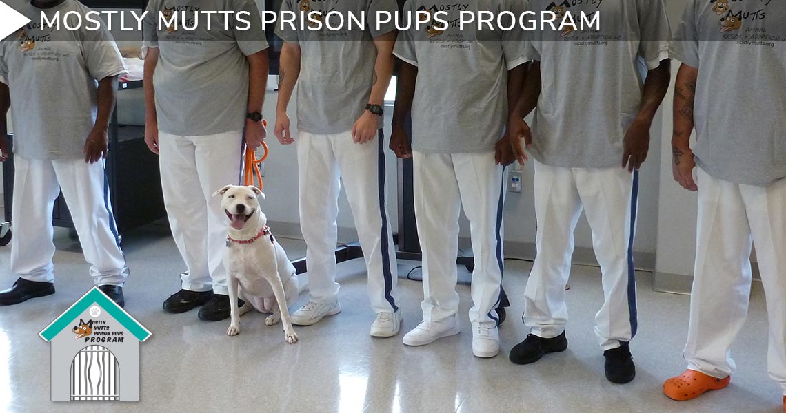 Metro Reentry Program